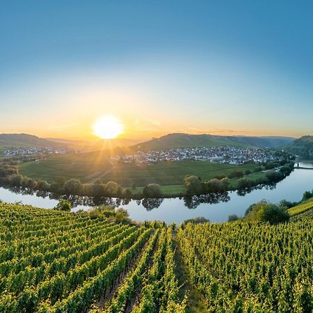 Holiday Home In The Eifel-Mosel With Garden Roes Екстериор снимка