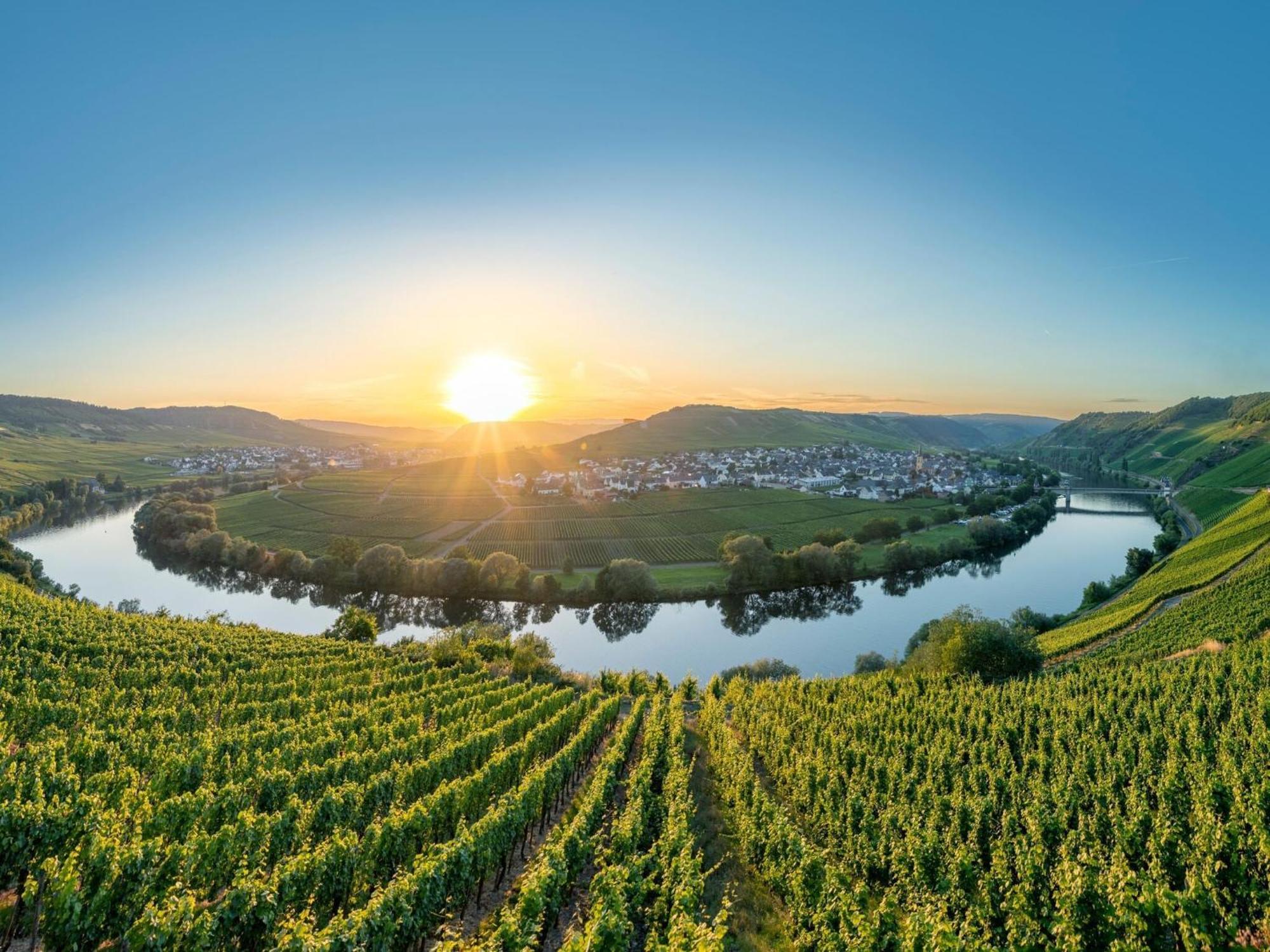 Holiday Home In The Eifel-Mosel With Garden Roes Екстериор снимка